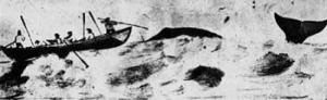 Whaling image