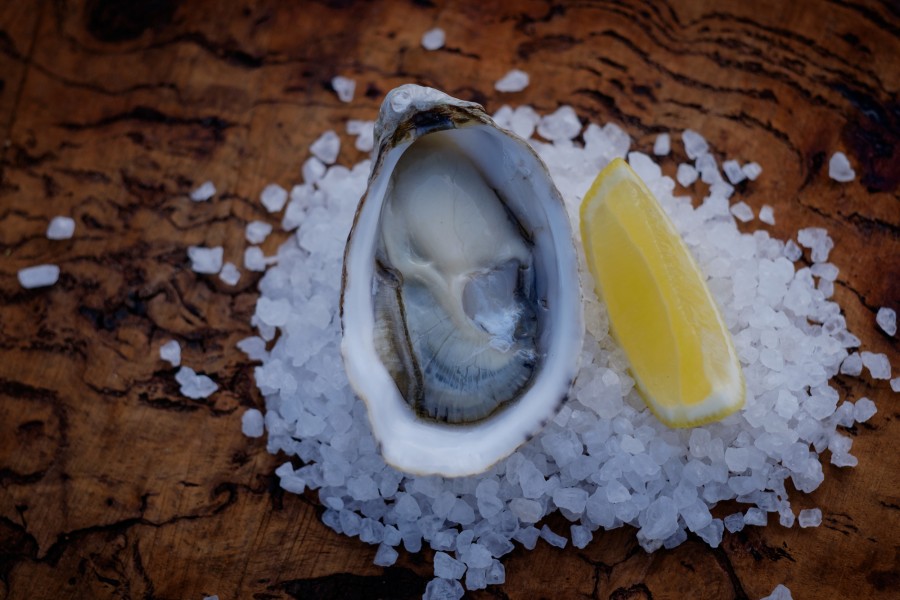 East Coast Tasmania, Oysters, Freycinet Marine Farm