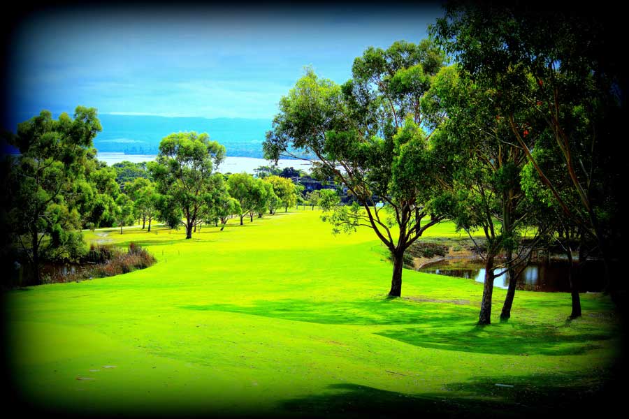 Freycinet golf club Wineglass bay