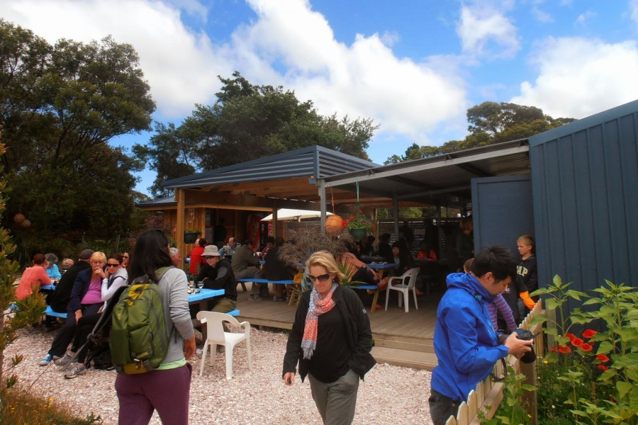 Freycinet Marine Farm, Farm Gate, Oysters