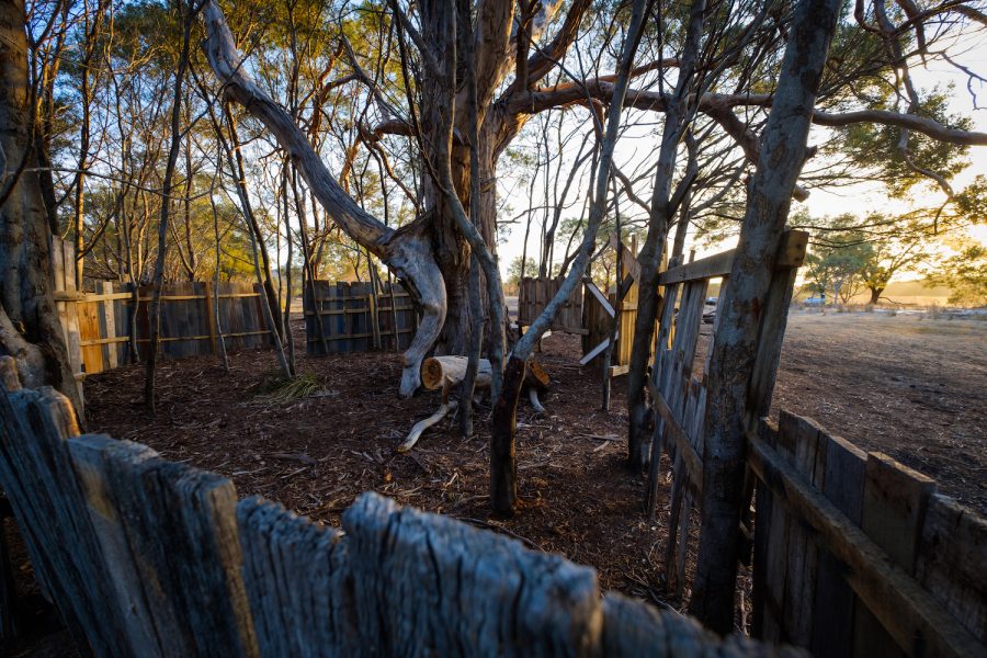 freycinet Paintbal, paintball tasmania, coles bay, adventure tourism